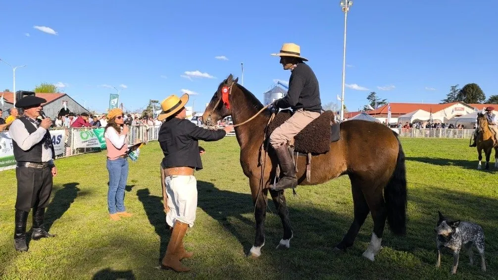 Los caballos de trabajo dieron buen espectáculo en la pista central